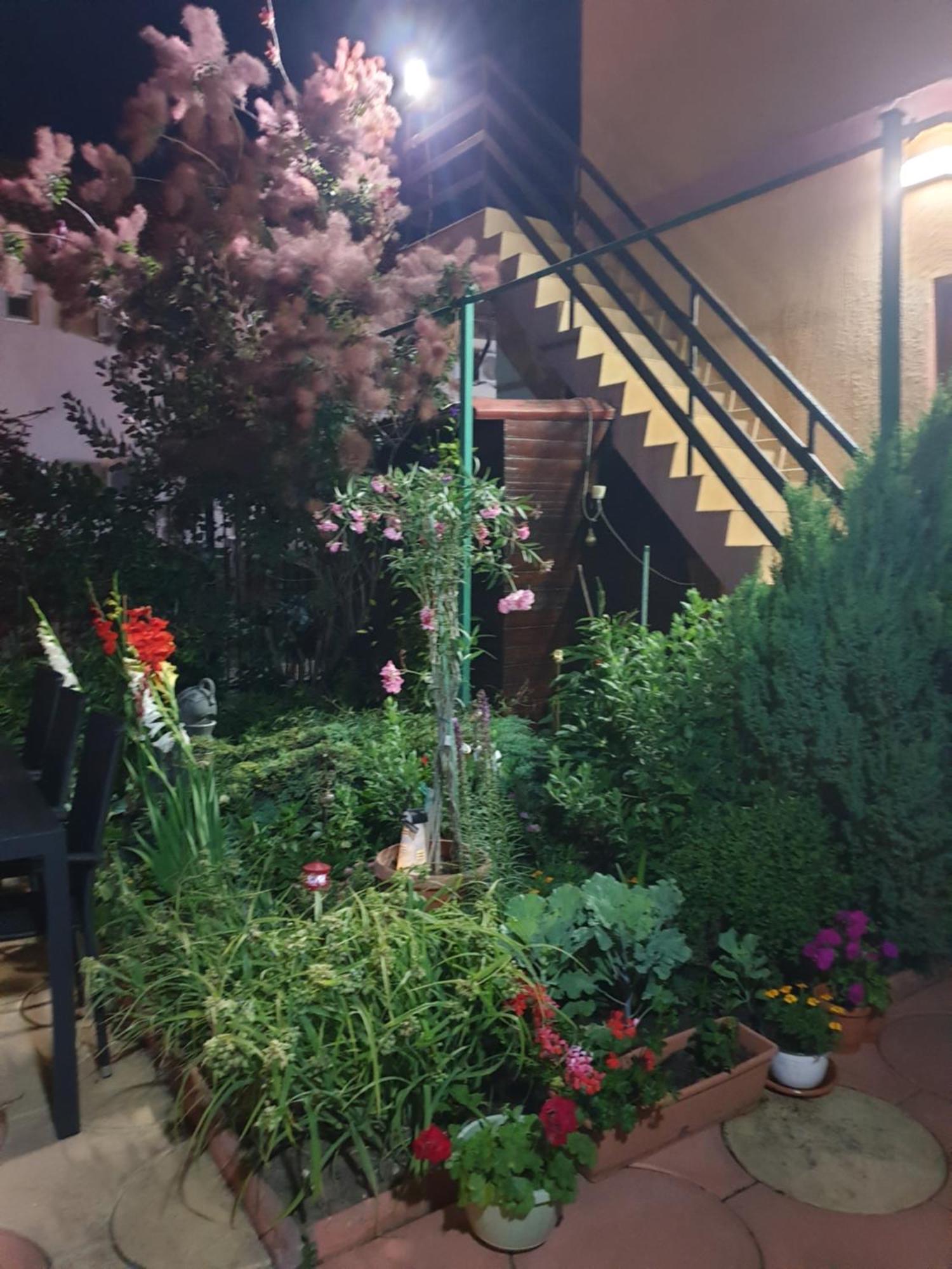 Casa Mary Hotel Costinesti Luaran gambar